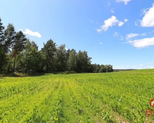 Działka budowlana na Mazurach Rożyńsk Wielki