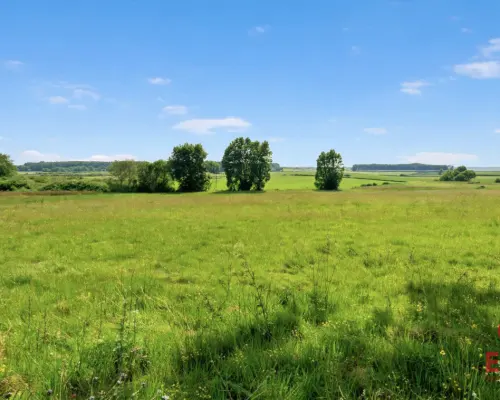 Piękne malownicze działki  z WZ, gmina Suraż