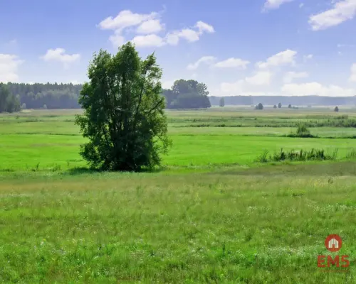 Piękne malownicze działki  z WZ, gmina Suraż