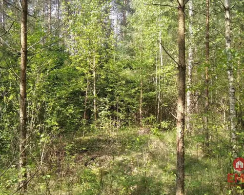 Działka idealna na domek.