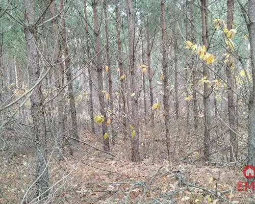 Działka idealna na domek.