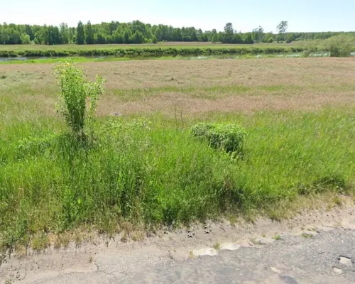 Działka rekreacyjna nad Narwią