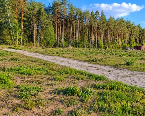 Plac 4500 m2 przy DK 8
