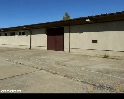 Hala produkcyjna 600 m² Teofilów | 400 kW | TIR | ogrzewana