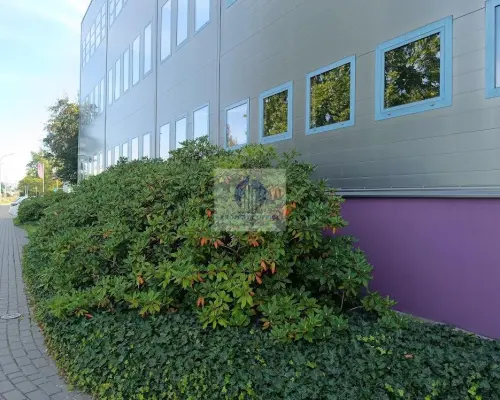 Warszawa Ursynów : lokal biurowy 40 m2 do wynajęcia