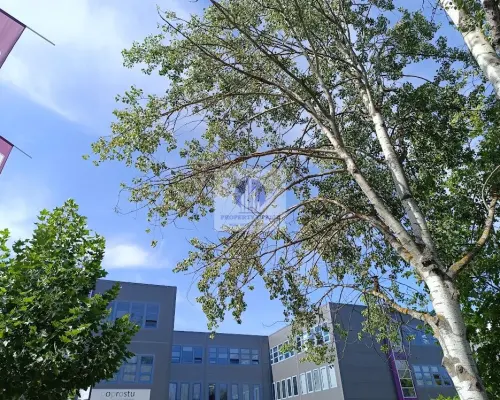 Warszawa Ursynów : lokal biurowy 132 m2 do wynajęcia