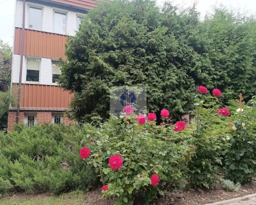 Mokotów: lokal biurowy 40m2 do wynajęcia