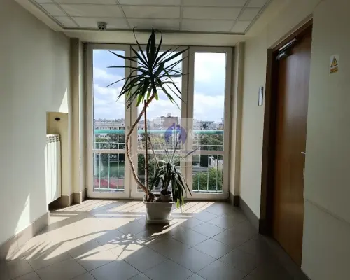 Praga Północ: lokal biurowy 50m2 do wynajęcia