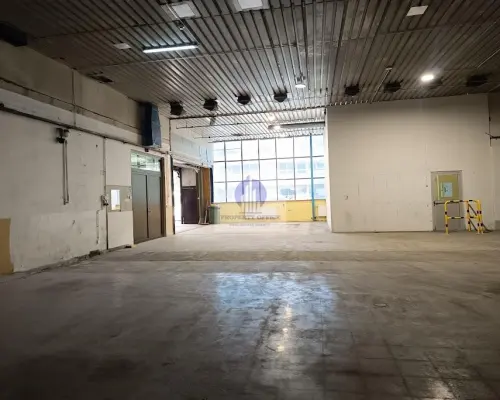 Bielany: lokal magazynowo-produkcyjny 416,03m2 do wynajęcia