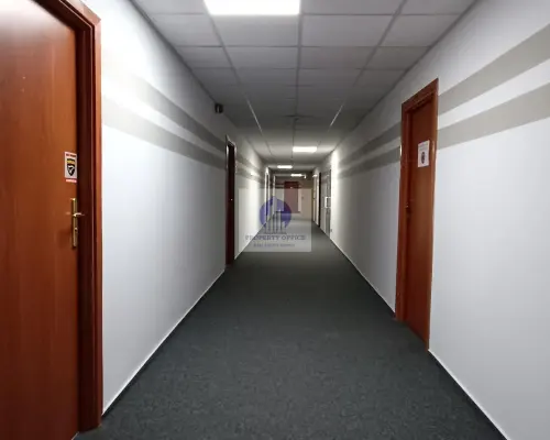 Śródmieście: lokal biurowy 31 m2 do wynajęcia