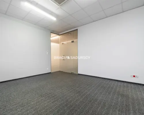 Powierzchnia biurowa z parkingiem - 250m2
