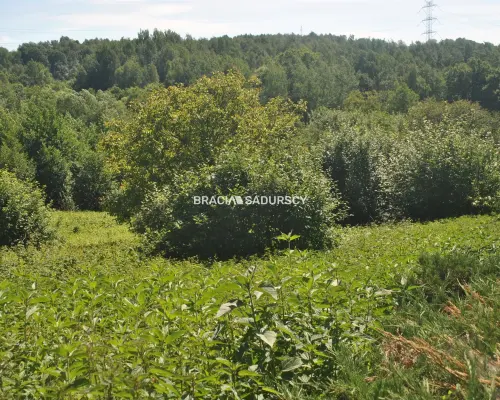 Nieruchomość budowlano -rolna w Lusinie