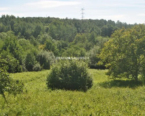Nieruchomość budowlano -rolna w Lusinie