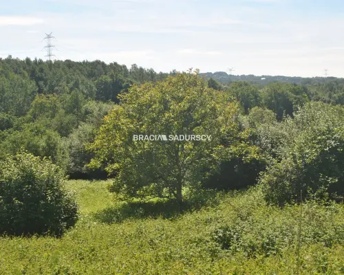 Nieruchomość budowlano -rolna w Lusinie