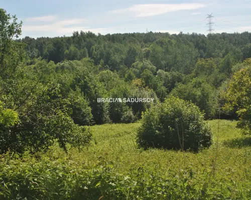 Nieruchomość budowlano -rolna w Lusinie