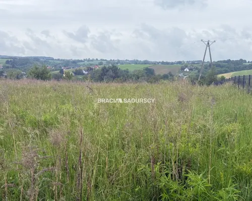 33 ary, Michałowice-Wilczkowice