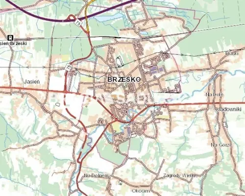 Działka produkcyjno-usługowa Brzesko