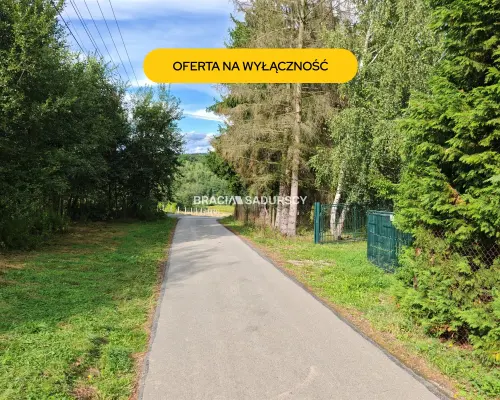 *zdjęcia należą do właściciela oferty.  LEWNIOWA, GMINA GNOJNIK, DZIAŁKA BUDOWLANA POD ZABUDOWĘ JEDNORODZINNĄ I USŁUGOWĄ O POW