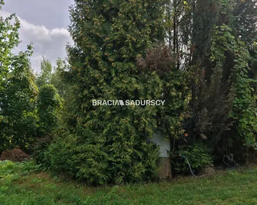 *zdjęcia należą do właściciela oferty.  LEWNIOWA, GMINA GNOJNIK, DZIAŁKA BUDOWLANA POD ZABUDOWĘ JEDNORODZINNĄ I USŁUGOWĄ O POW