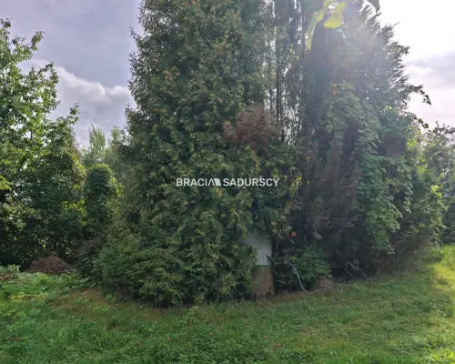 *zdjęcia należą do właściciela oferty.  LEWNIOWA, GMINA GNOJNIK, DZIAŁKA BUDOWLANA POD ZABUDOWĘ JEDNORODZINNĄ I USŁUGOWĄ O POW