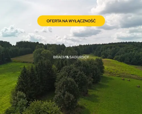 Działka budowlana o powierzchni 30 arów w Brodach