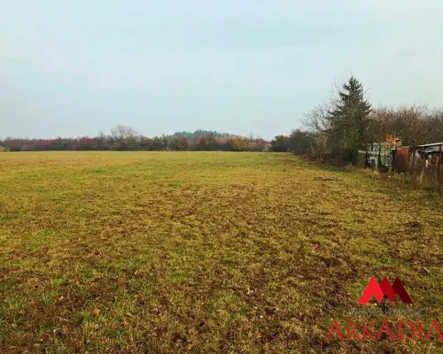 DZIAŁKA INWESTYCYJNA 13174 M² ALEKSANDRÓW KUJAWSKI
