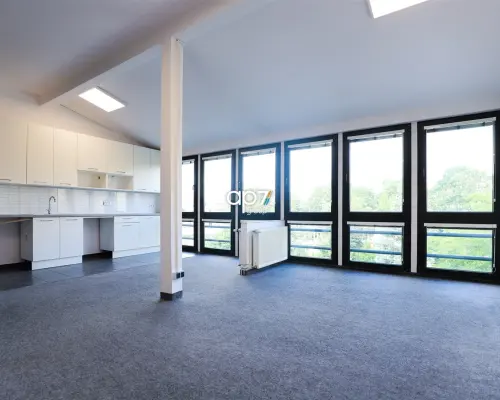 Lokal użytkowy /handlowy 160m2