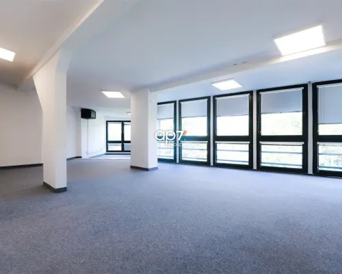 Lokal użytkowy /handlowy 160m2