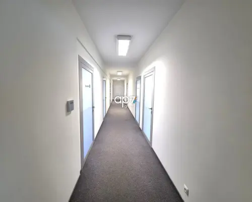 Pokój biurowy od zaraz