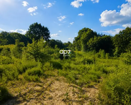 Działka przy lesie | MPZP | 1829 m² | Ochojno |