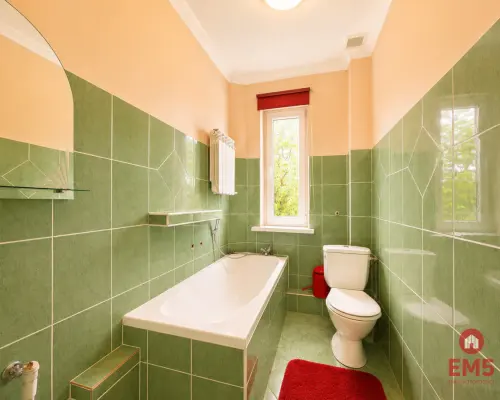 Siedlisko 0,6 ha, gm. Brańsk