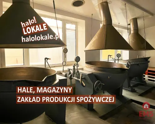 Okazja. Zakład spożywczy, hale i magazyny