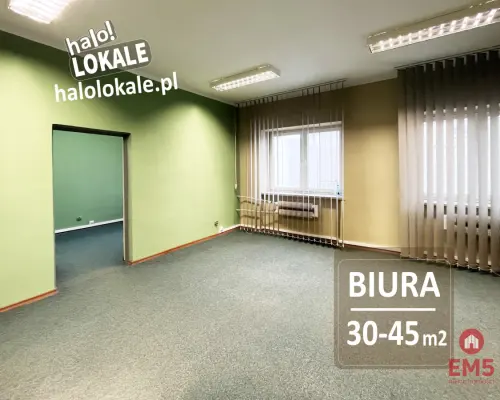 Powierzchnie biurowe do wynajęcia