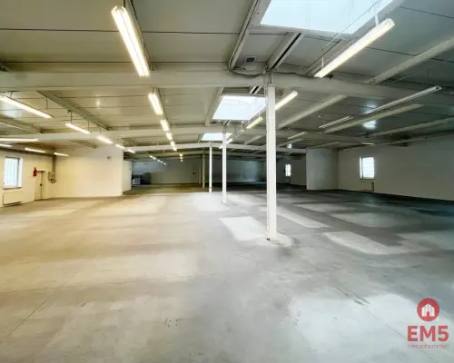 Pow. 1100 m2 przy Parku Handlowym