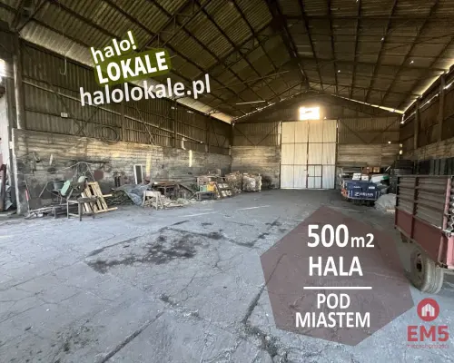 Hala pod miastem