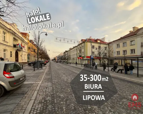 Lokale biurowe na Lipowej 60-300m2