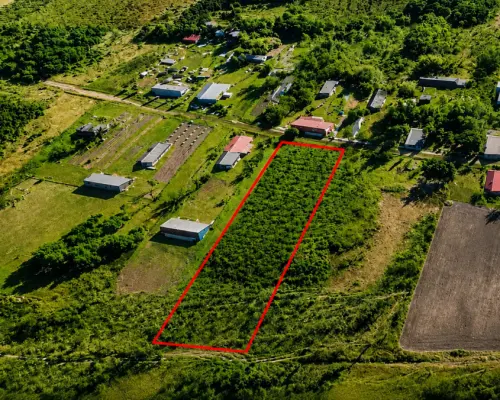 Działka rolna z WZ, 4900 m2, gmina Narew