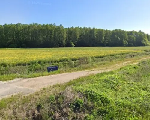 Działka zagrodowa 3000m2, Rzepniki