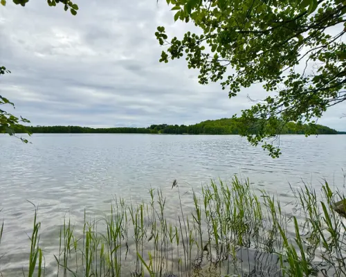 Twoja prywatna linia brzegowa nad Jeziorem Hańcza