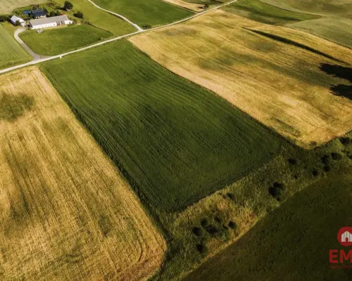Działka - Żegary, gm. Sejny