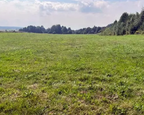 Działka rolno-budowlana 2533 m2, Studzianki