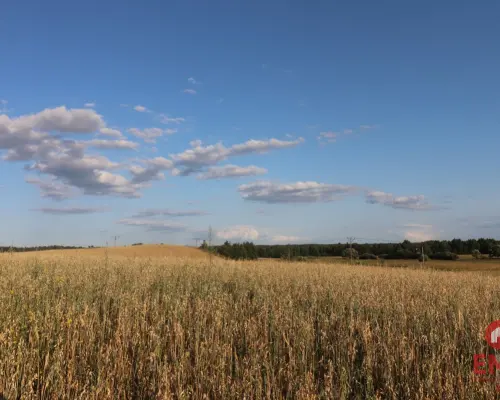 Działka budowlana blisko jeziora