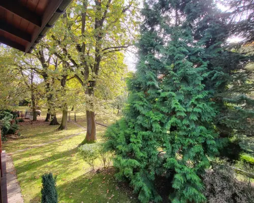spory dom z ogrodem położony w pięknej okolicy