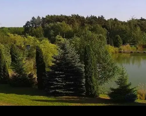 Gotowy biznes - Fisch Camp Ownice -łowisko komercyjne