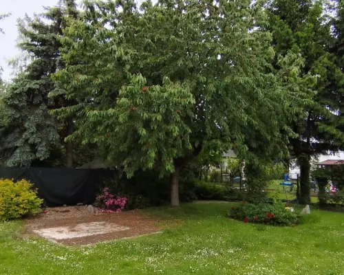 Wyjątkowy dom nieopodal Świdnicy! Duża działka!