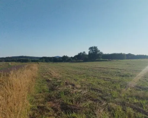 Działka na sprzedaż w Modliszowie gm.Świdnica