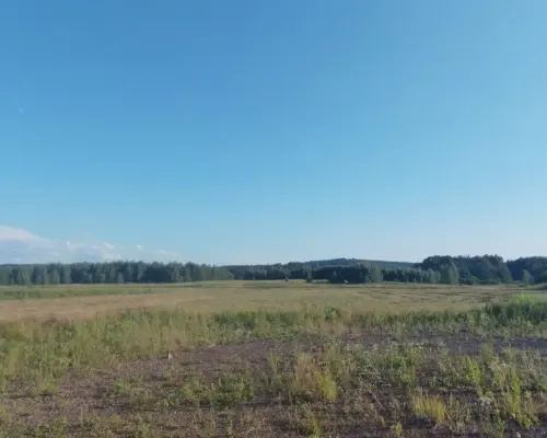 Działka na sprzedaż w Modliszowie gm.Świdnica