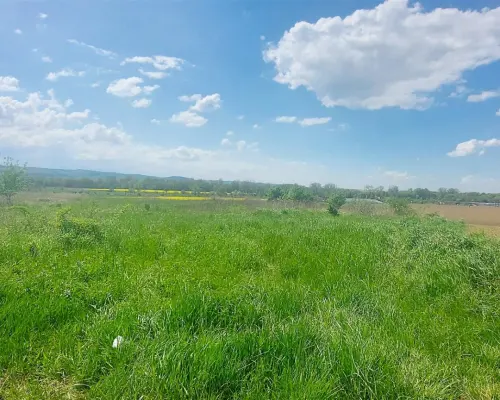 Działka inwestycyjna na obrzeżach miasta Świdnica