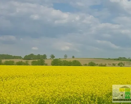 Działka inwestycyjna na obrzeżach miasta Świdnica
