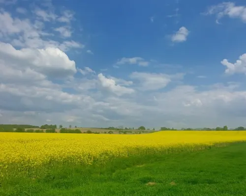 Działka inwestycyjna na obrzeżach miasta Świdnica